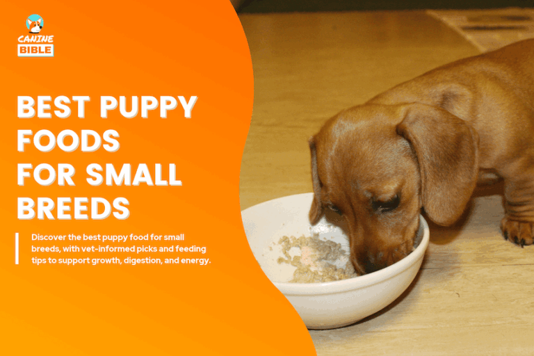best puppy food for small breeds