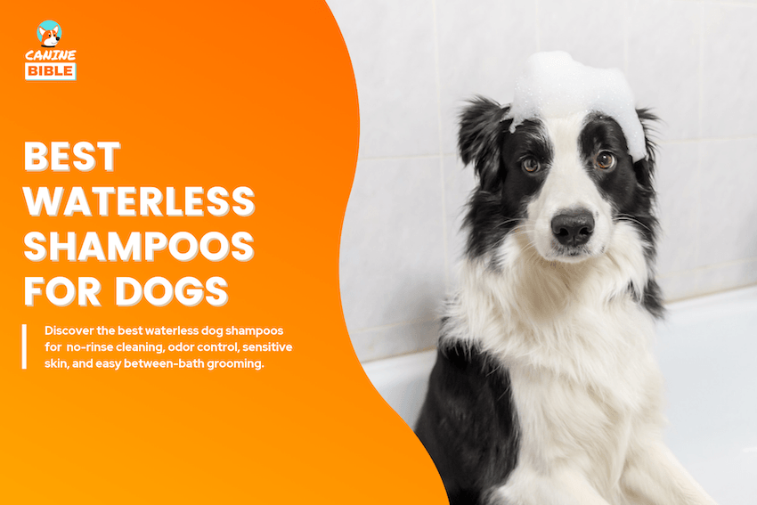Best Waterless Dog Shampoos