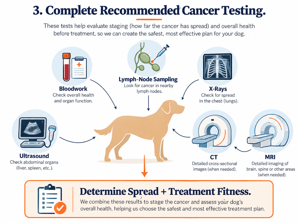 Complete Any Recommended Staging and Health Tests