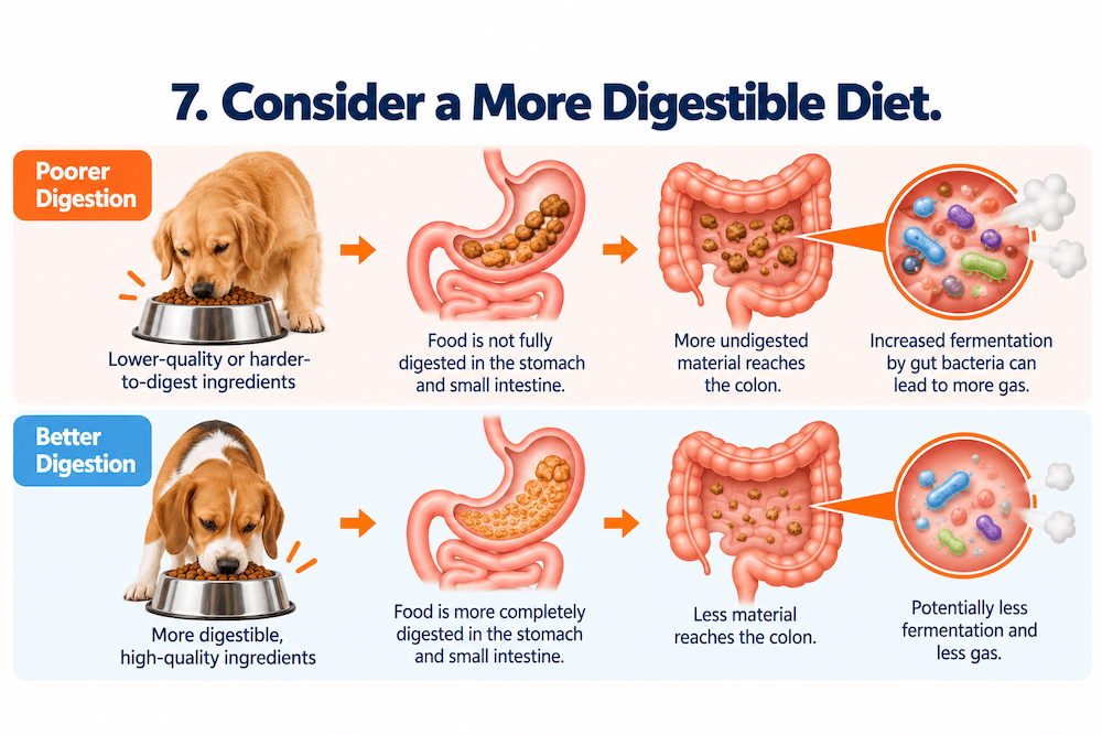 Consider a More Digestible Diet