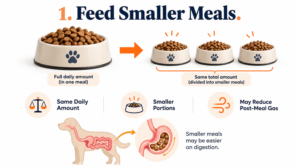 Feed smaller meals