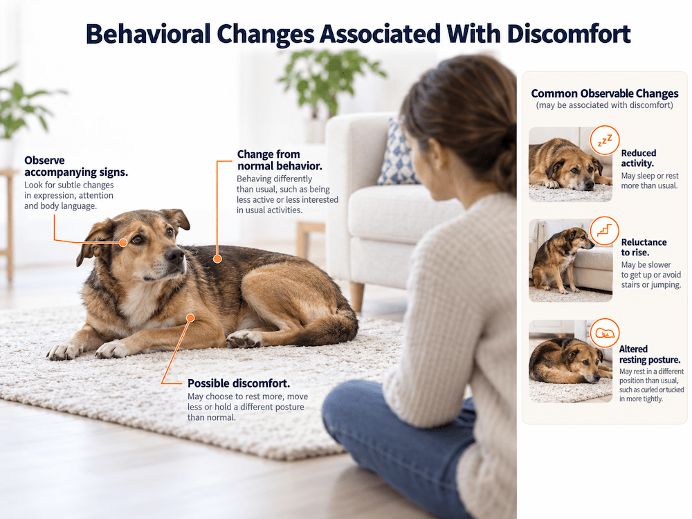 Physical Discomfort or Illness