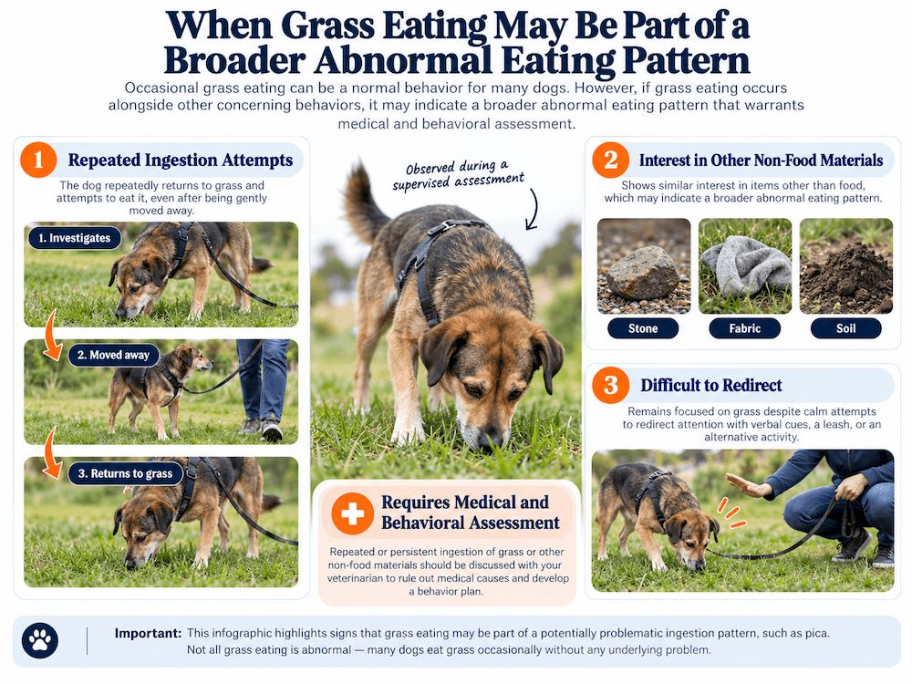 Pica-Related Behavior