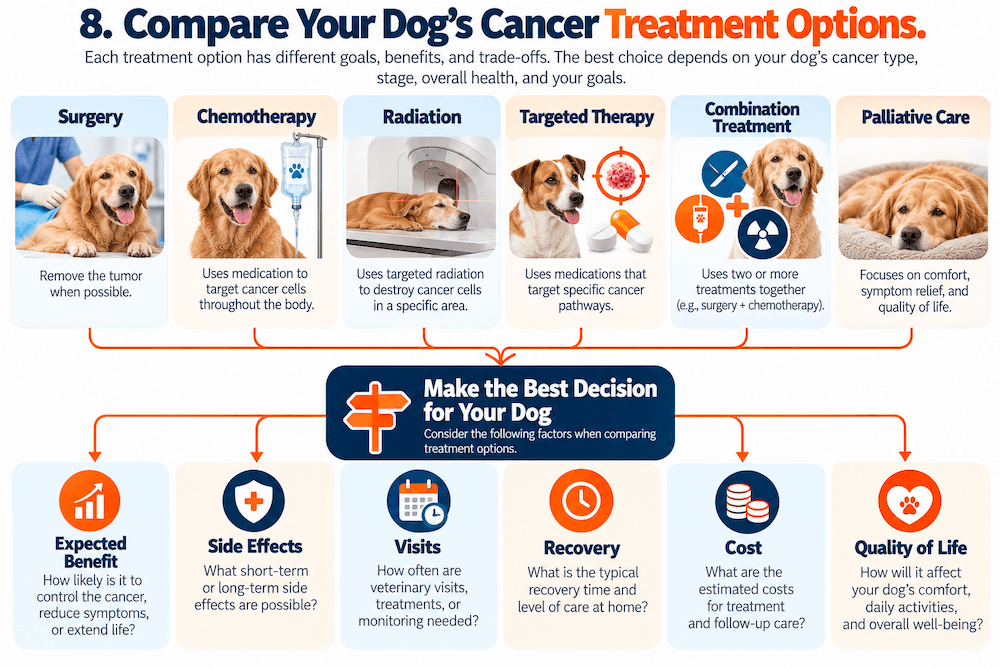 Review the Treatment Options and Their Trade-Offs