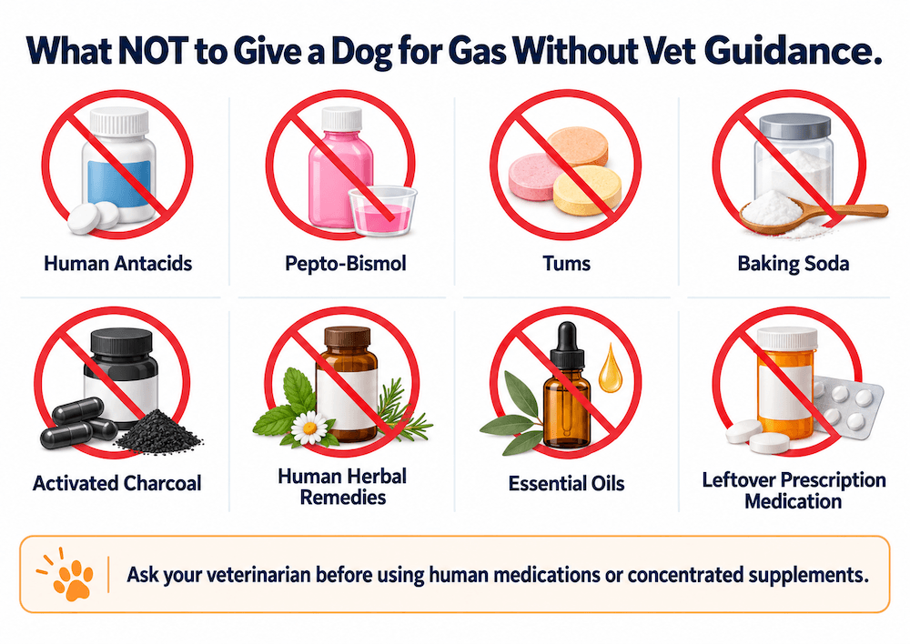 What Not to Give a Dog for Gas