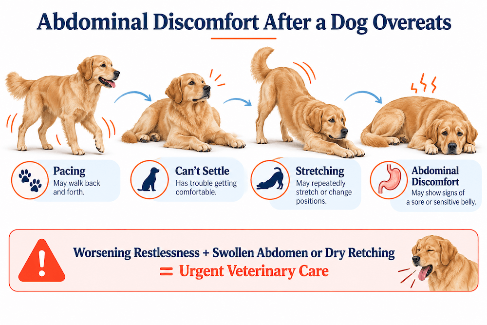 abdominal discomfort
