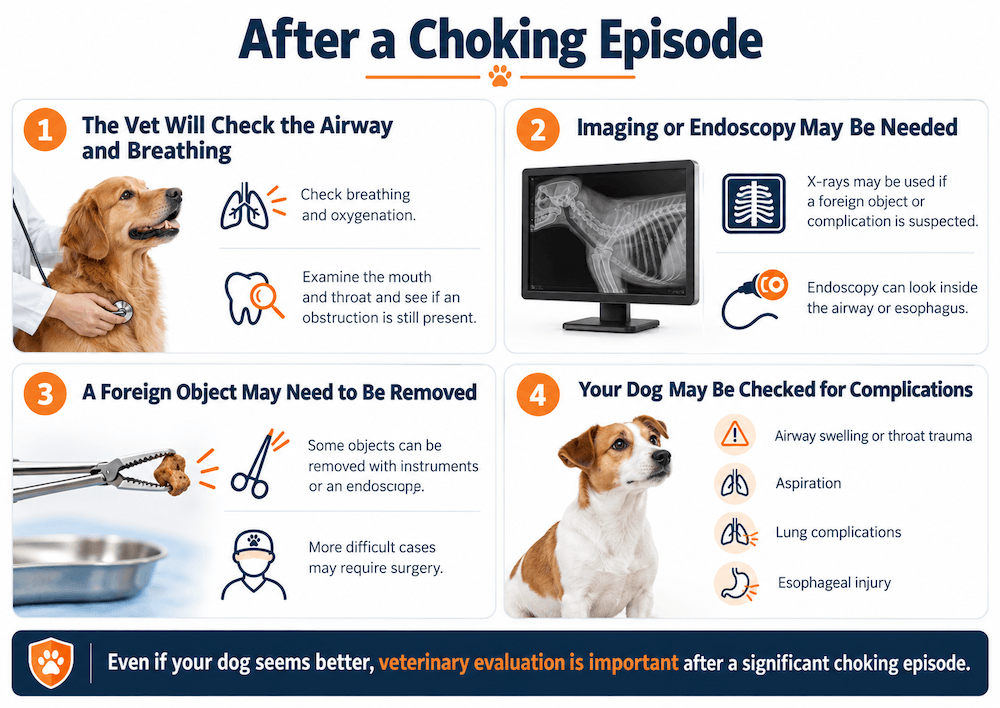 after a choking episode