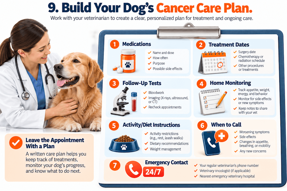 build your dog's cancer care plan