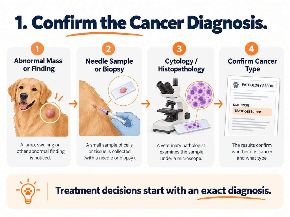confirm the diagnosis