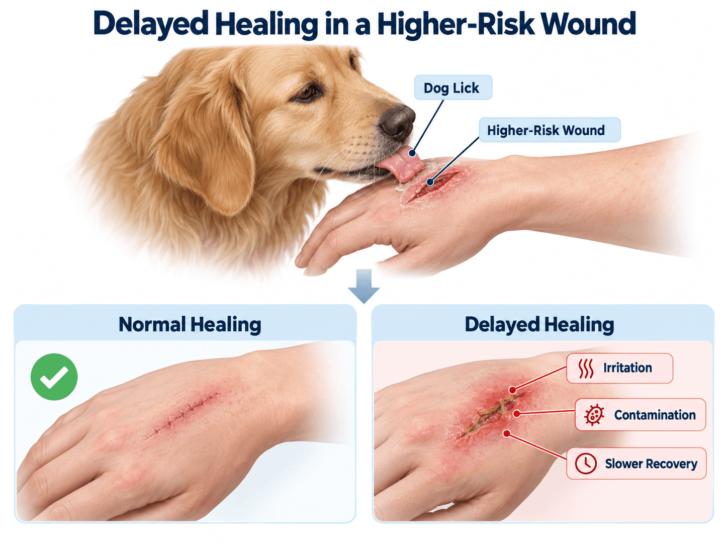 delayed healing in a higher risk wound