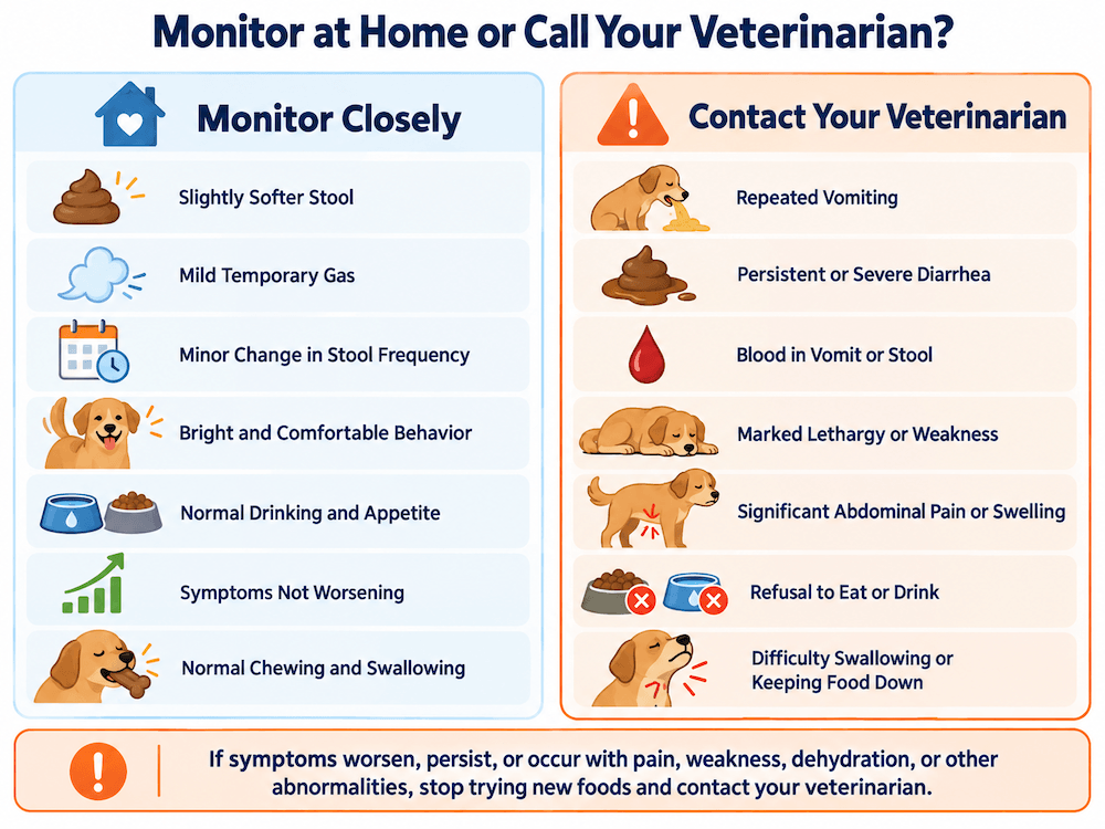 monitor at home or call a vet