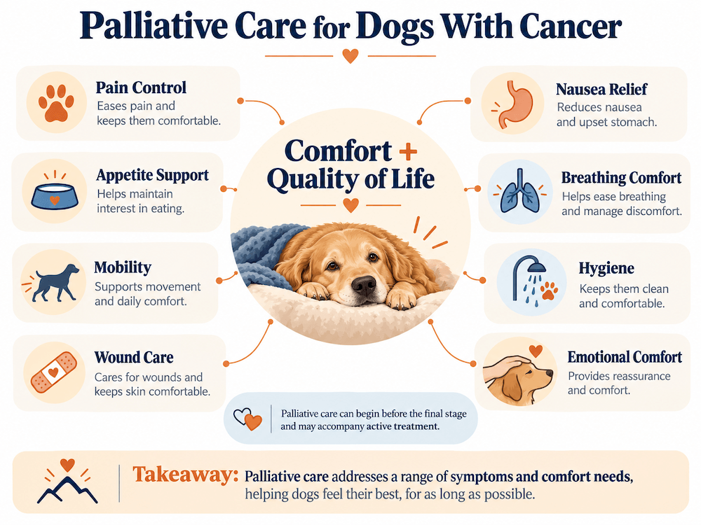 palliative care for dogs with cancer