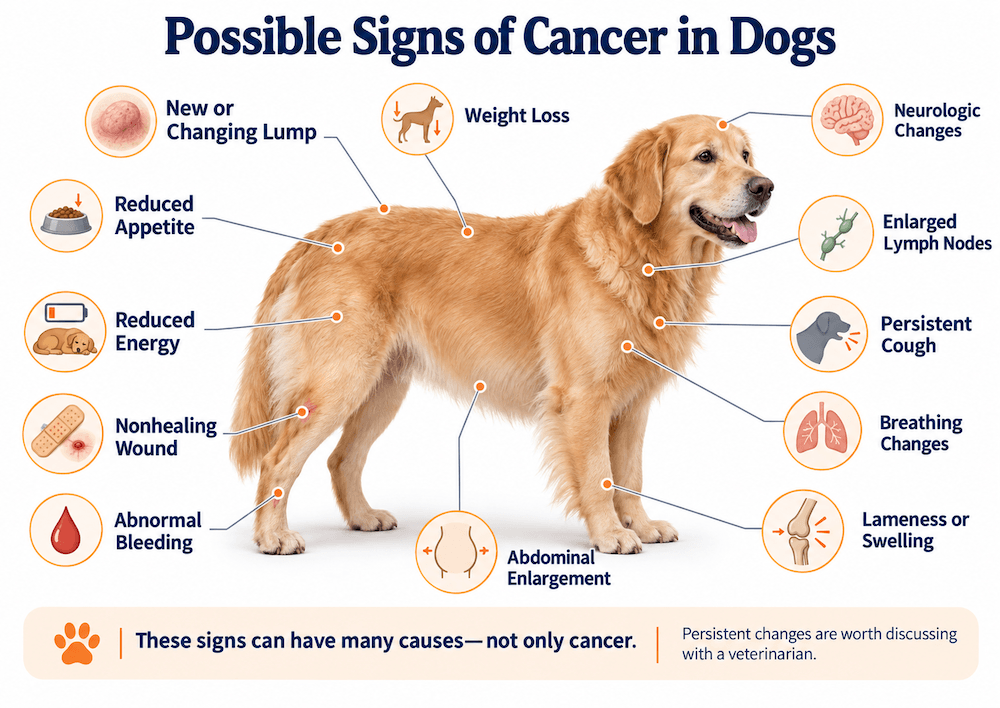 possible signs of cancer in dogs