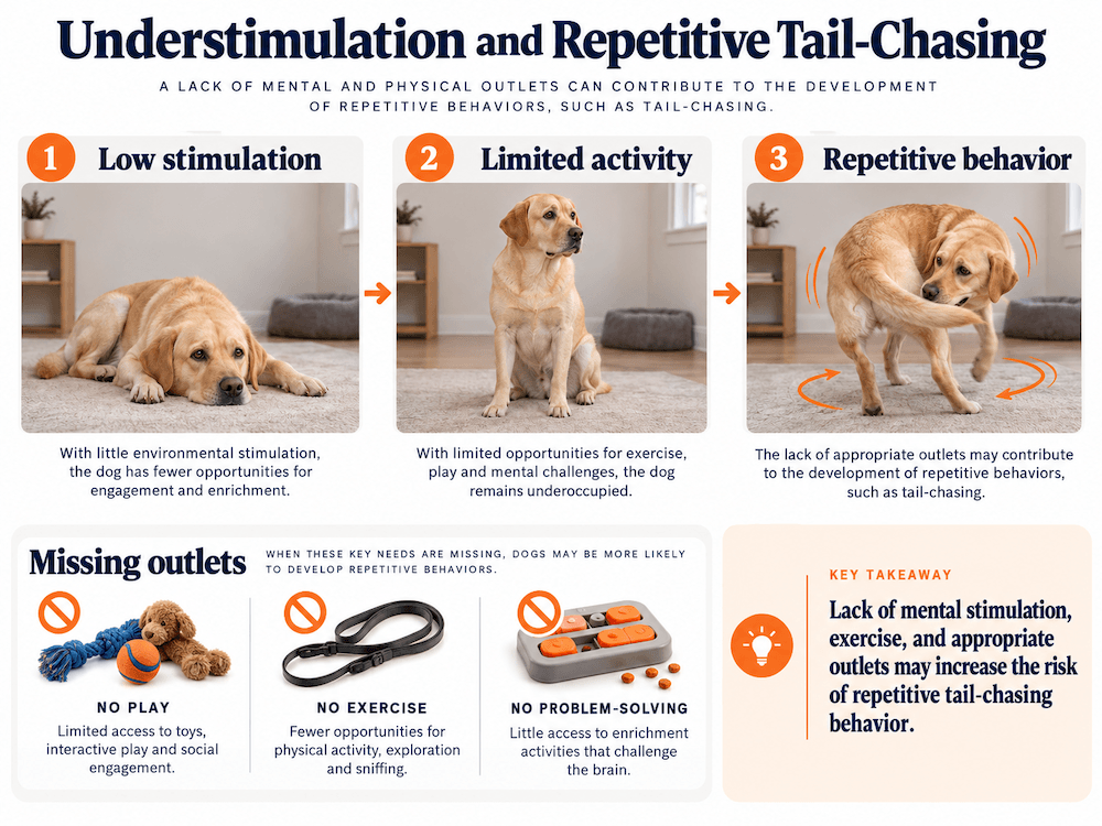 repetitive tail-chasing