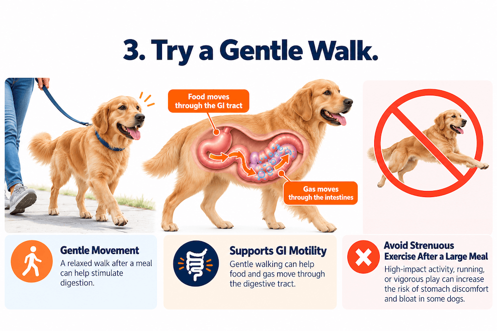 try a gentle walk