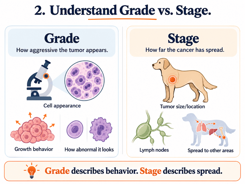 understand grade vs stage