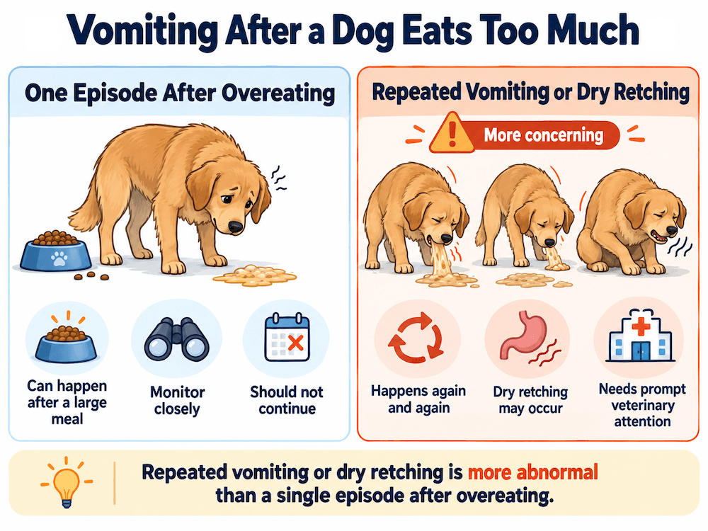 vomiting after eating too much