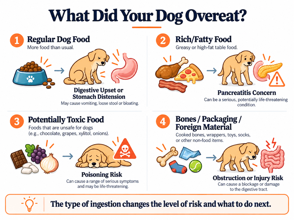 what a dog overeats